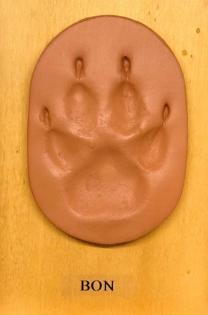 Recuerdo de huella de mascota