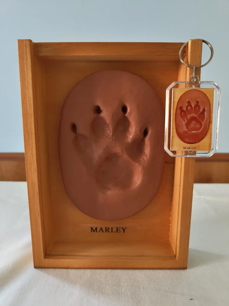 recuerdo huella y llavero de mascota