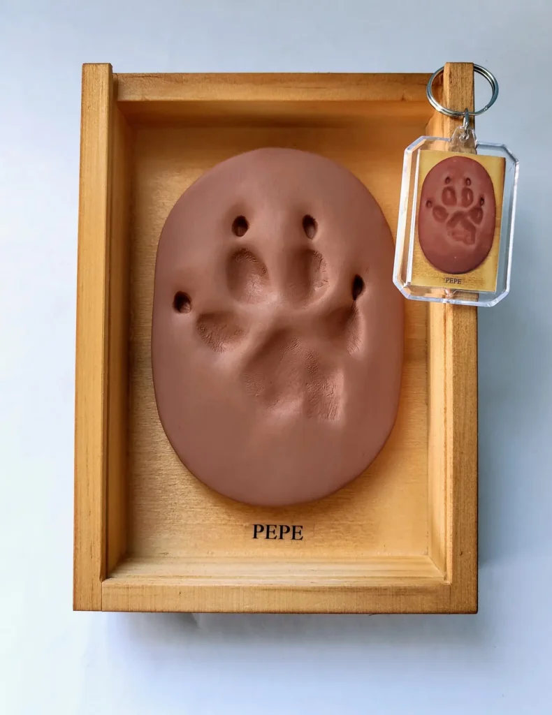 Recuerdo de huella para perros