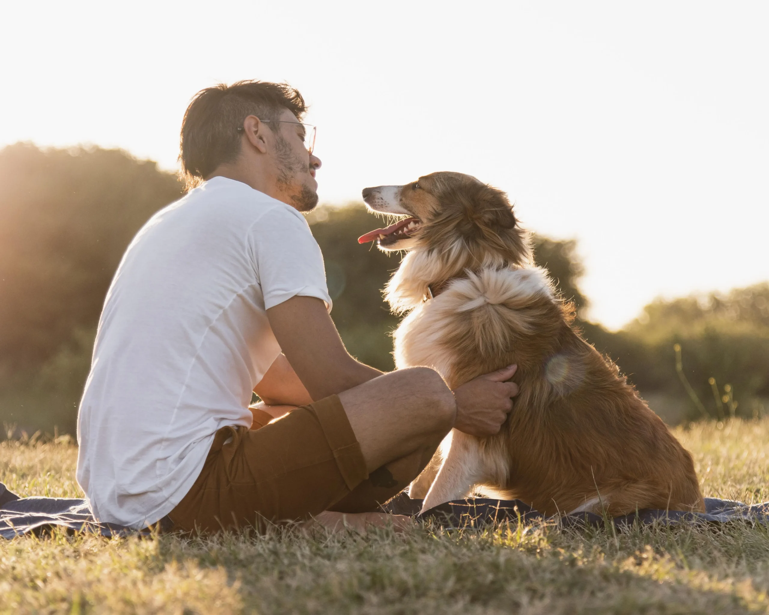 Que hacer cuando muere un perro con chip